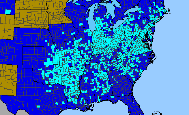 The range of Lamium purpureum
